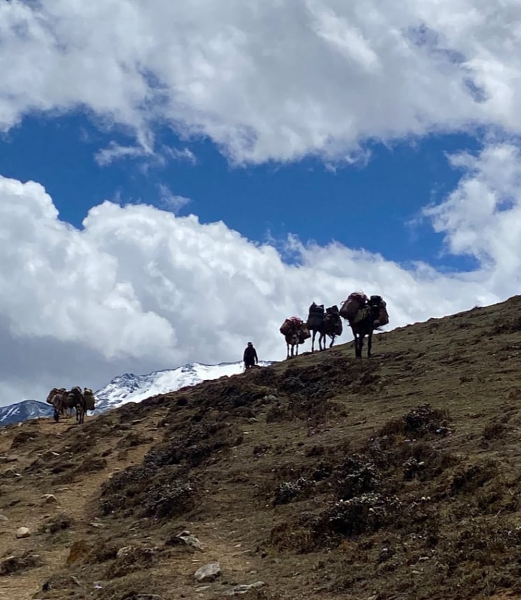 Little girl wearing traditional Laya dress
